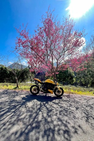 Ducati Streetfighter Yellow 