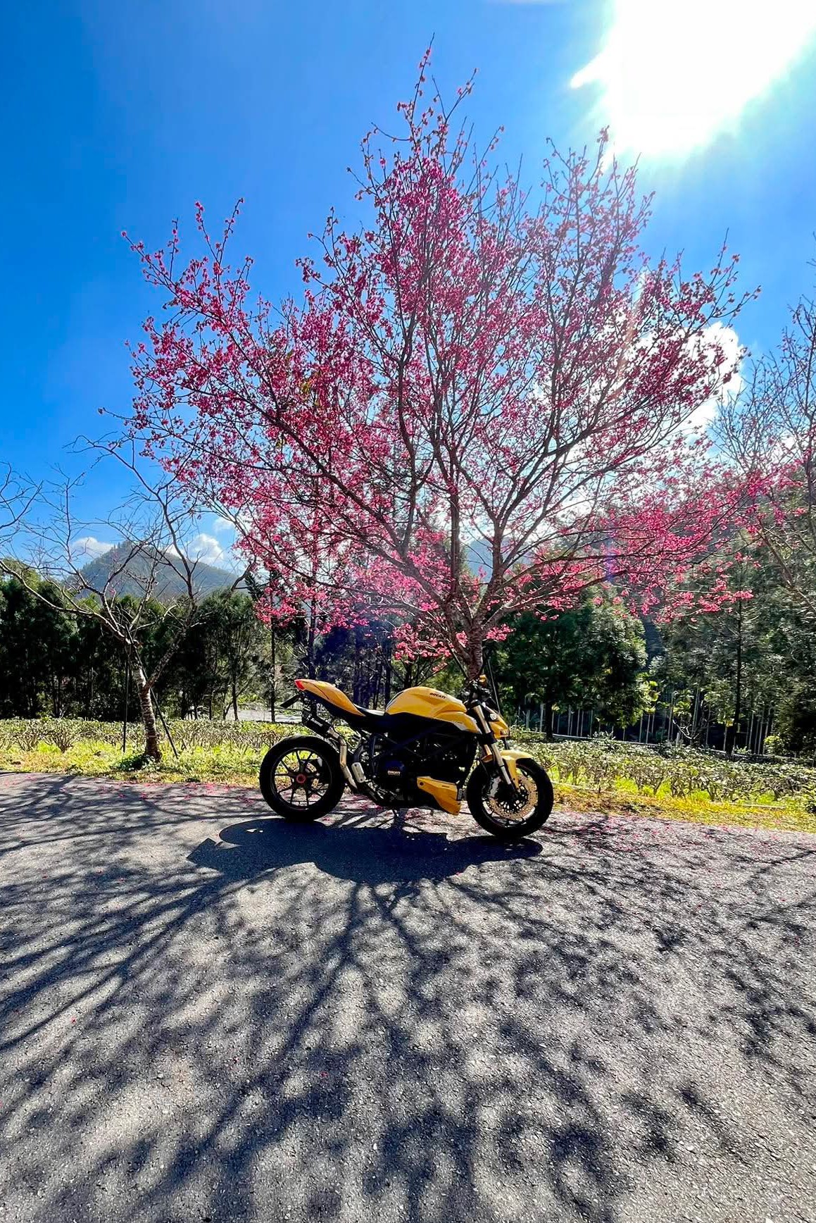 Ducati Streetfighter Yellow 